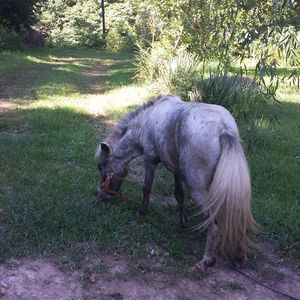 Meet your Posher, Barbara